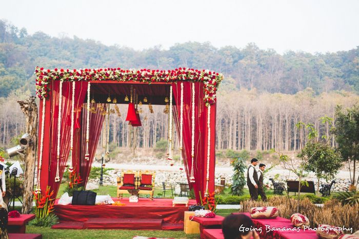 destination wedding in jim corbett