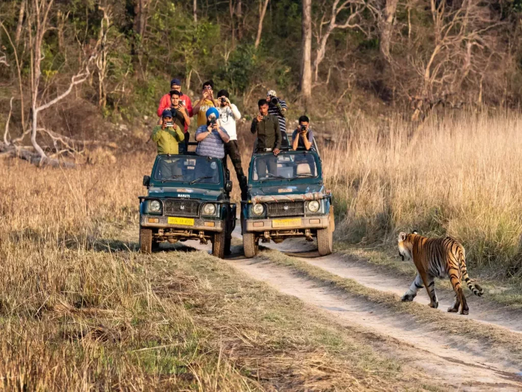 jim corbett jeep safari