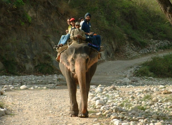 elephant ride in jim corbett